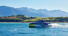 Private - Kaikoura Whale Watch