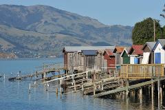Akaroa Farm Tour - Small Group Tour