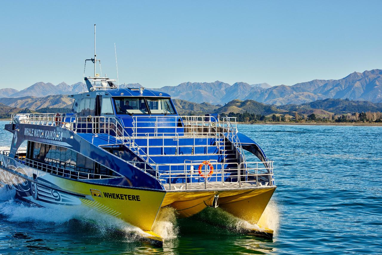 Kaikoura Whale Watch - Small Group Tour