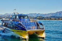 Kaikoura Whale Watch - Small Group Tour