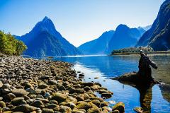 Private Milford Sound Tour from Queenstown