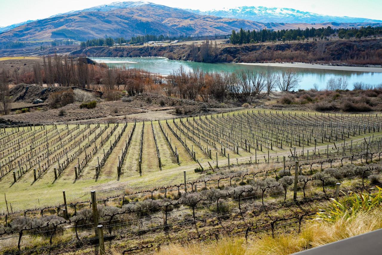 Private Central Otago Full Day Wine Tour from Queenstown