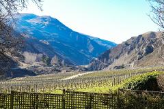 Private Gibbston Half Day Wine Tour from Queenstown