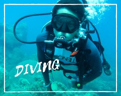 Private Diving at Pulau Payar Marine Park by Sea Hawk