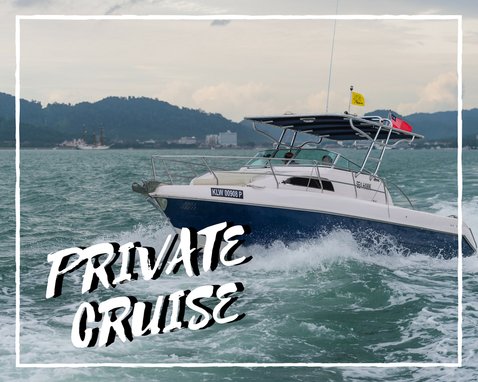 Private Free Style Cruise Sea Hawk