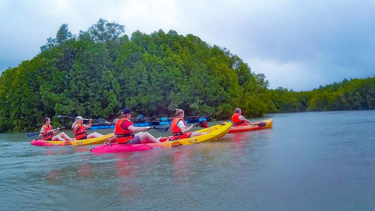 Mangrove Adventure & Swimming by Kayak