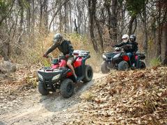 ATV Jungle Adventure