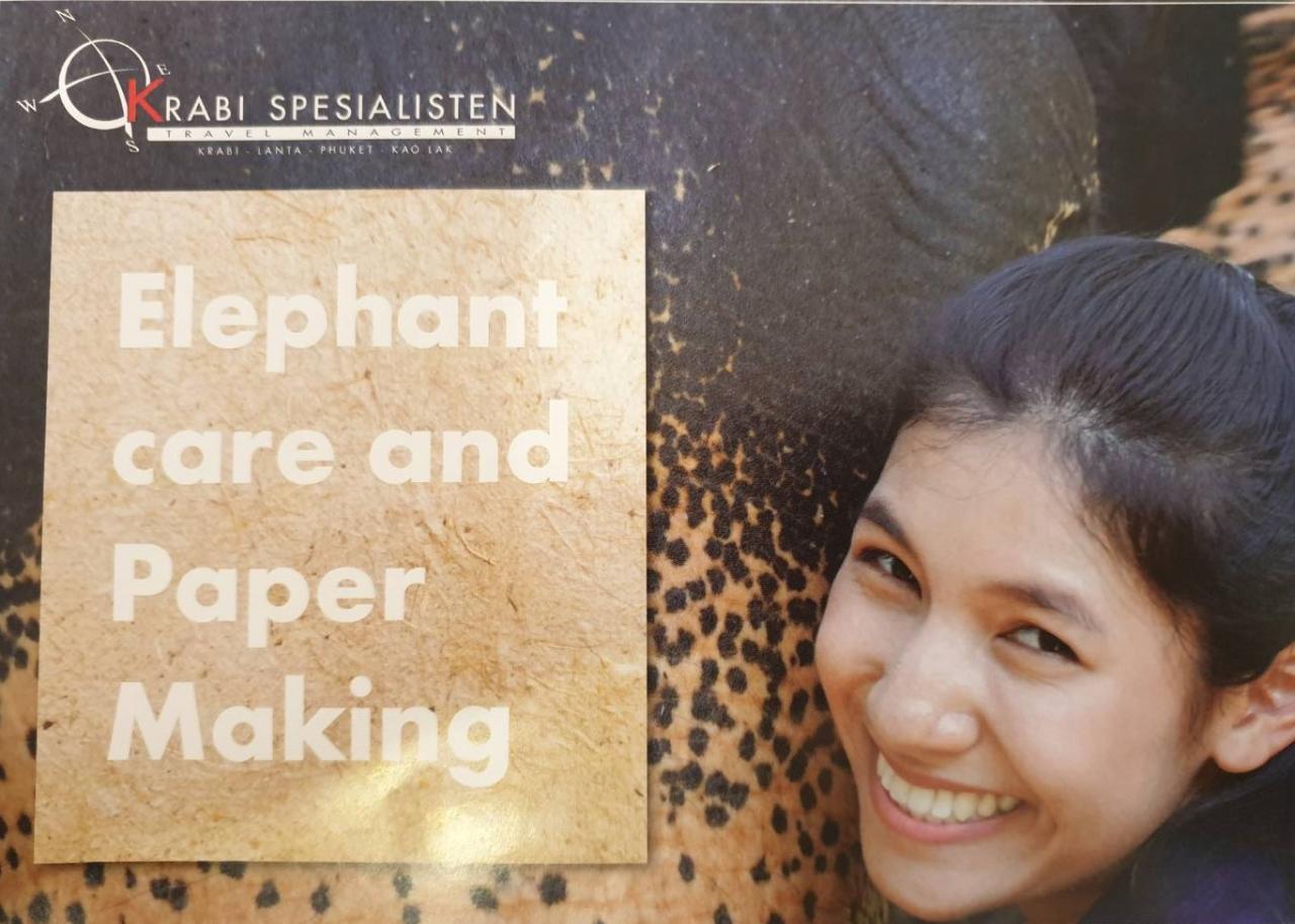 Elephant Care and Paper Making  (Half Day)