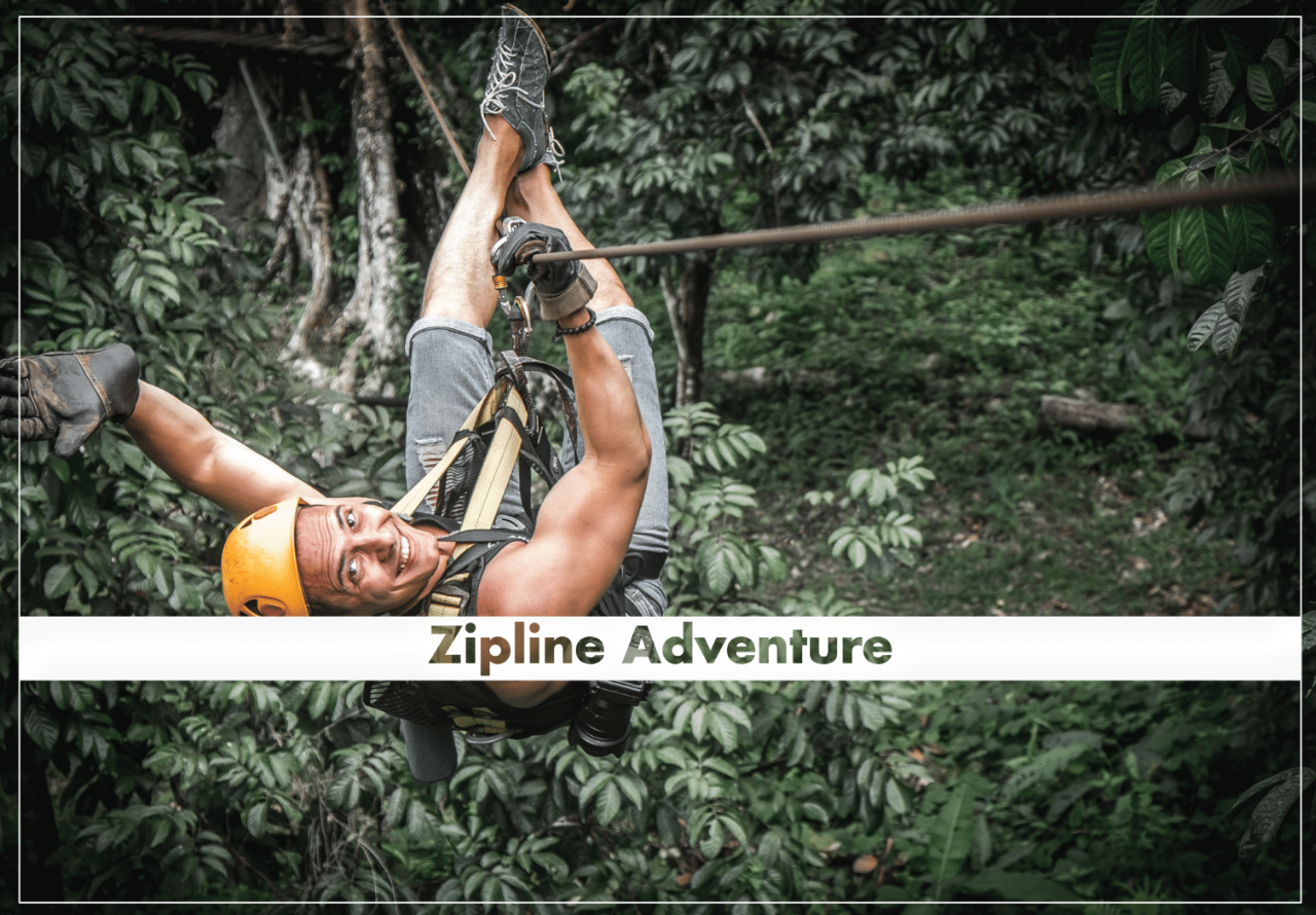 Zipline Adventure