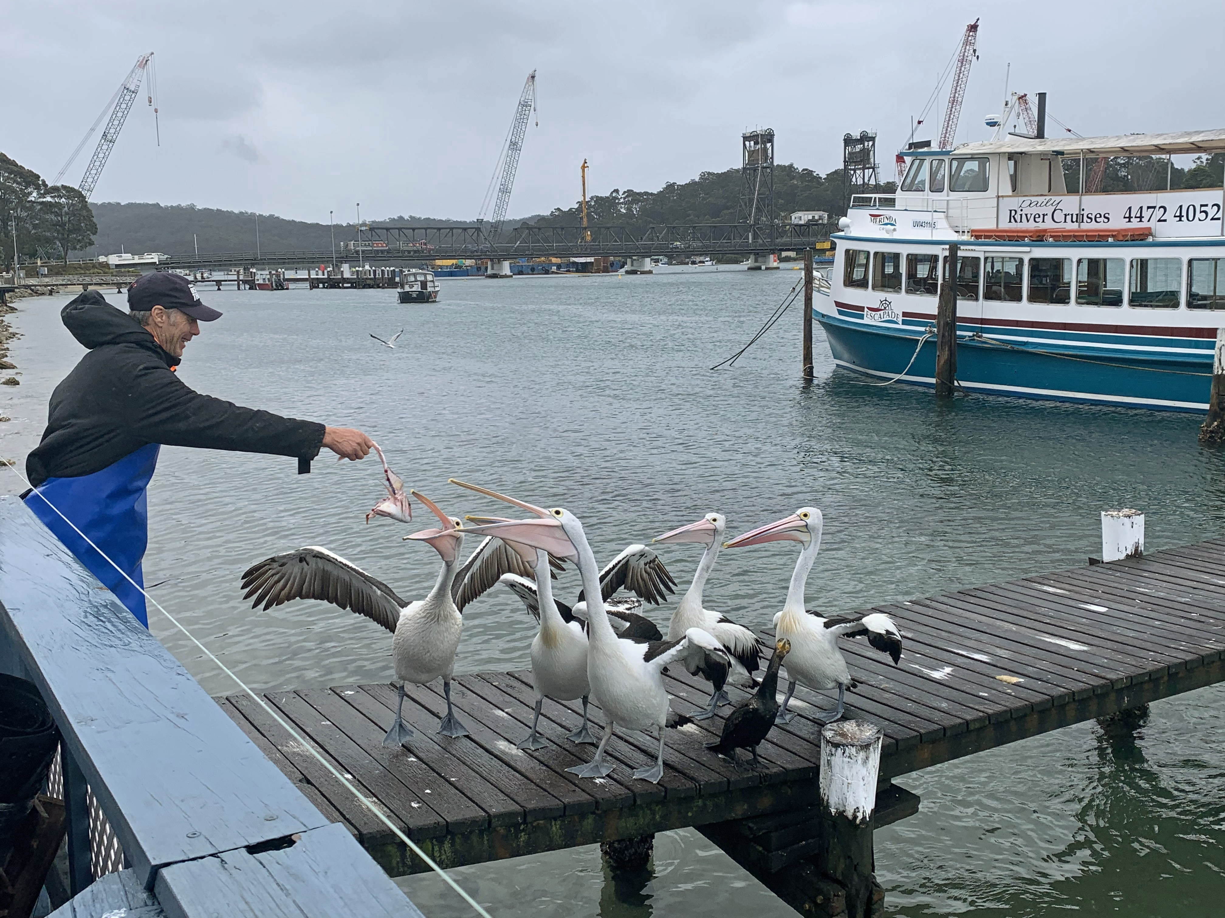Canberra to Coast Day Tour with Oyster Tasting Kayak Experiences