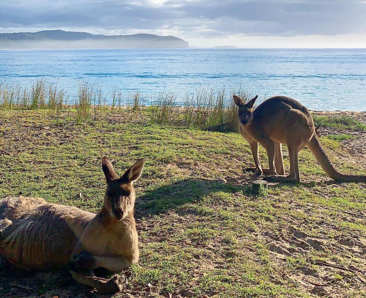 Batemans Bay Day Tour from Canberra - Indigenous Experience