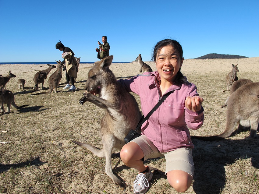 Canberra to Coast Day Tour with Oyster Tasting Kayak Experiences