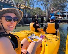 Oyster Tasting Kayak Tour - Batemans Bay