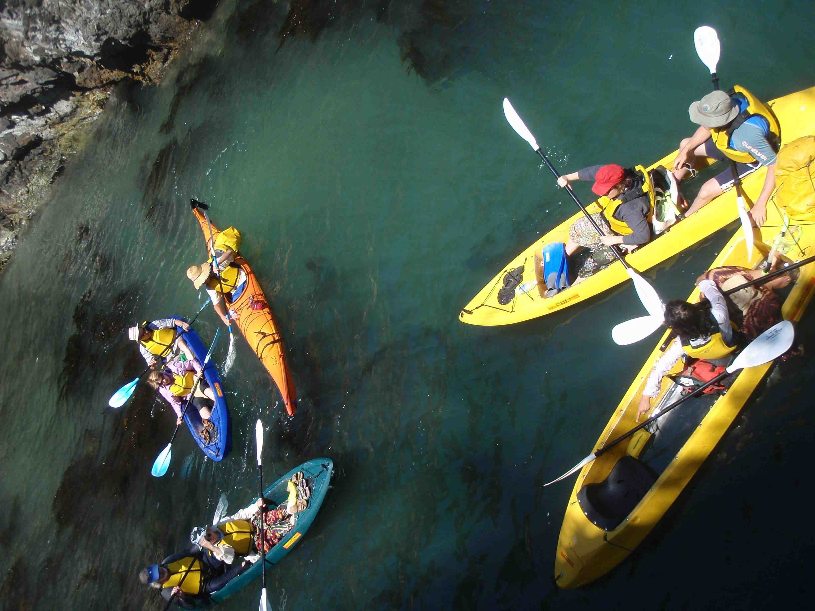 Glass Bottom Kayak Tour - Cullendulla Sanctuary