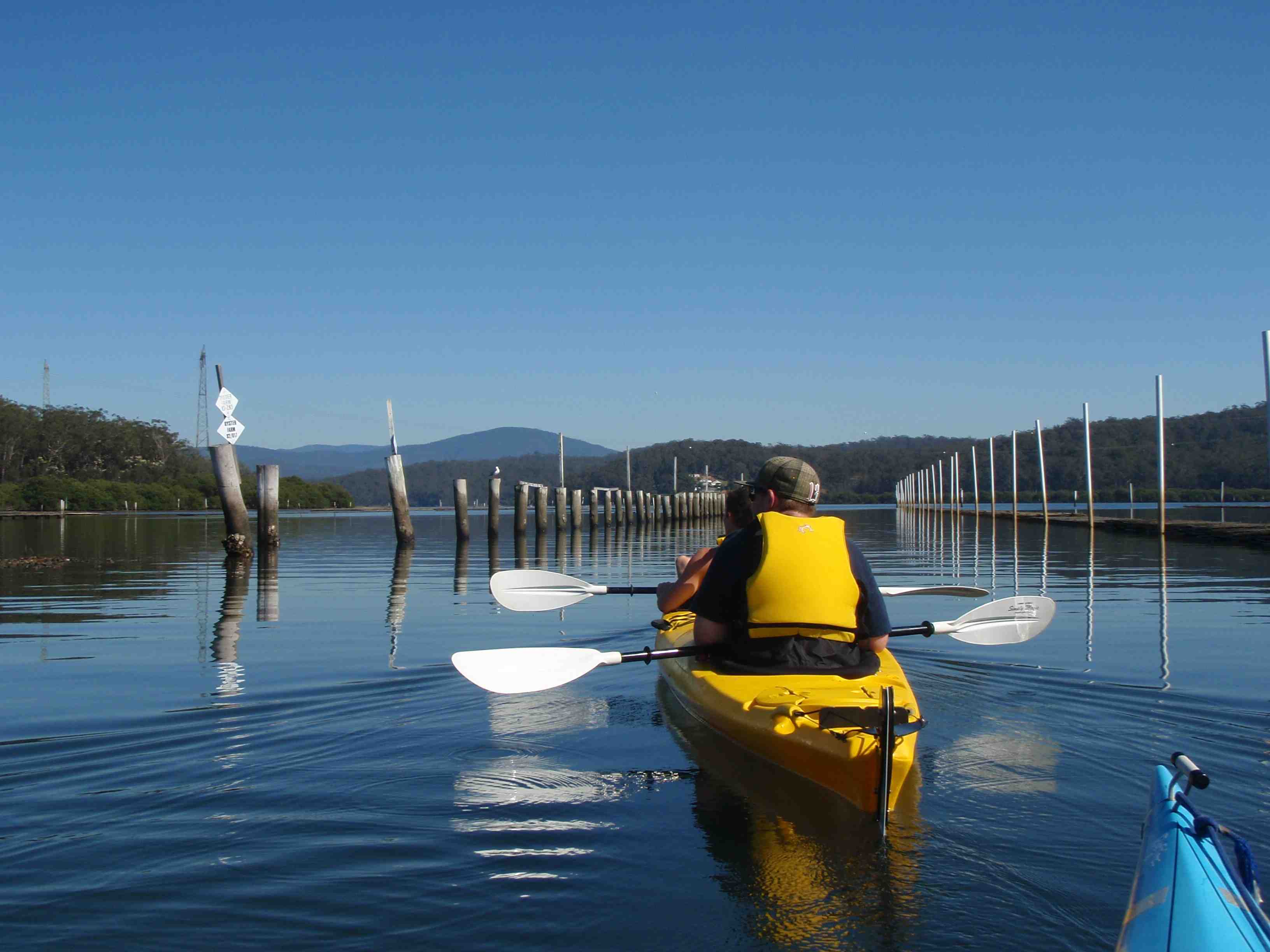 Canberra to Coast Day Tour with Oyster Tasting Kayak Experiences