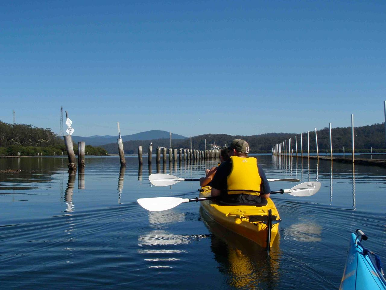 Canberra to Coast Day Tour with Oyster Tasting Kayak Experiences