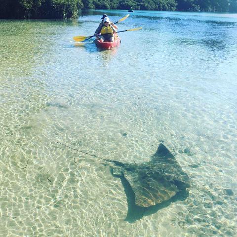Kayak Hire