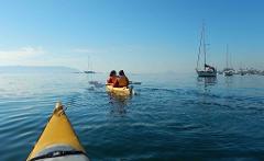 Batemans Harbour Kayak Tour