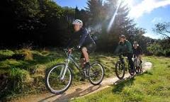 Bike Hire - Half Day