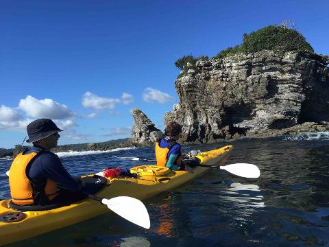 Breakfast or Lunch Kayak Tours