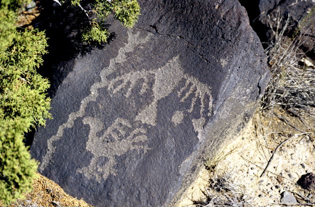 The Petroglyph Birds of Mesa Prieta