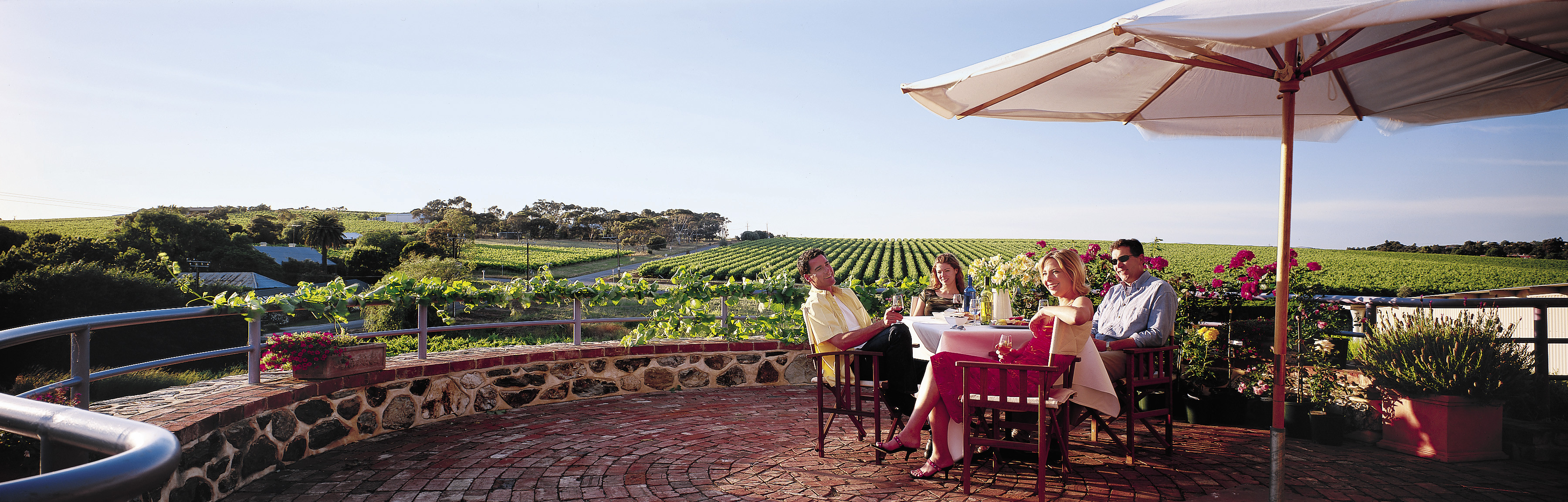 Tour de South Australia Vineyards - Self Guided