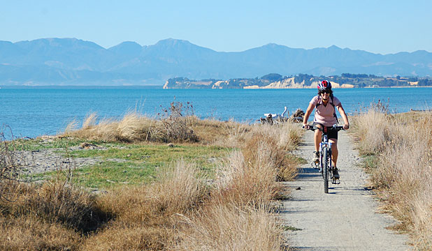 Tour de Great Taste Trail NZ - Private — Nelson - Photo 1