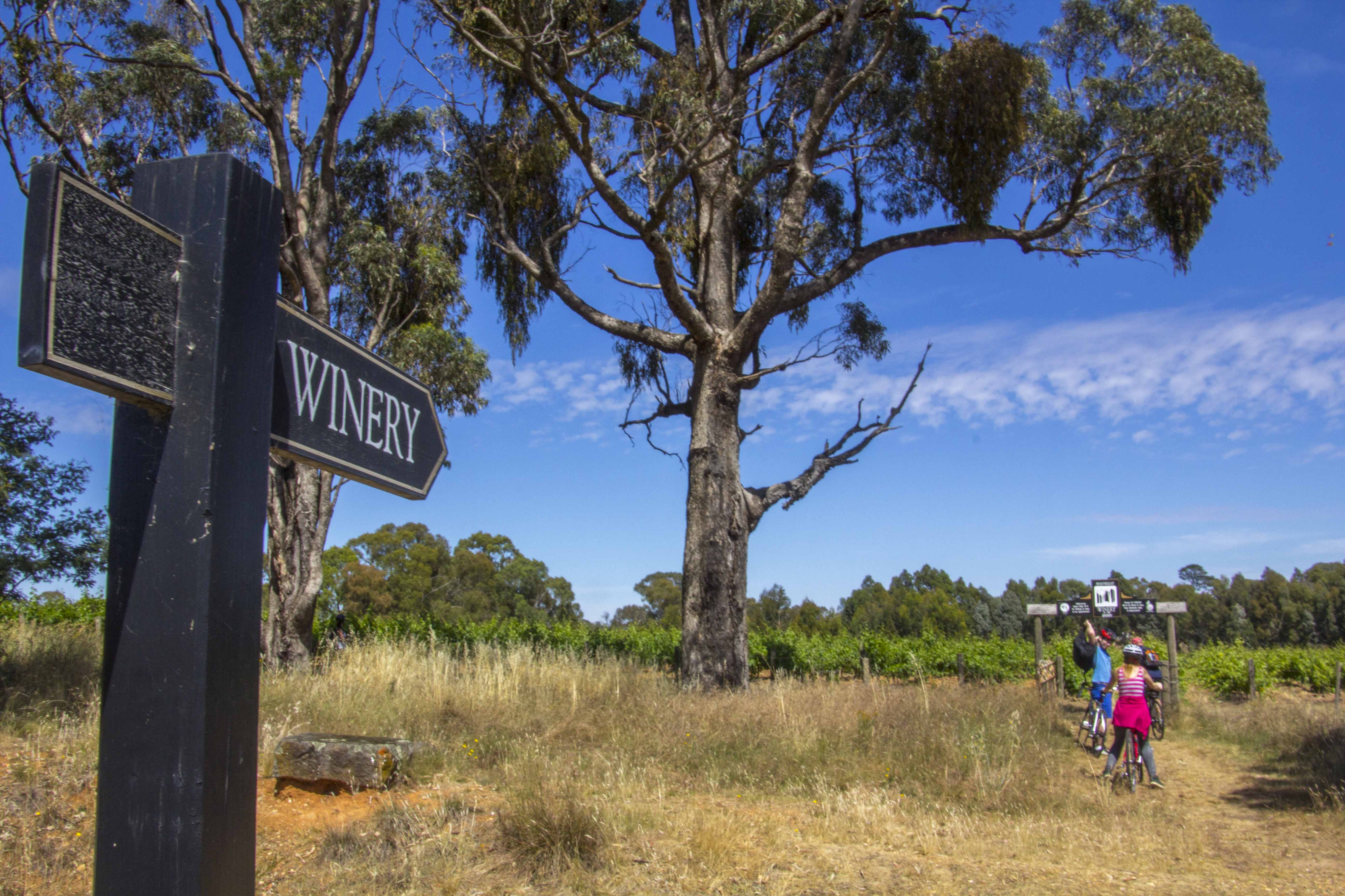 Tour de Grand Gourmet