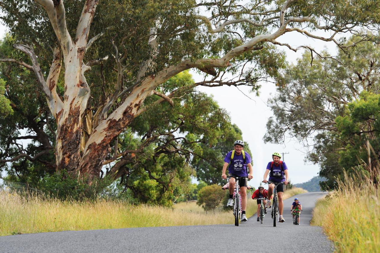 Tour de Mudgee Cellar Door