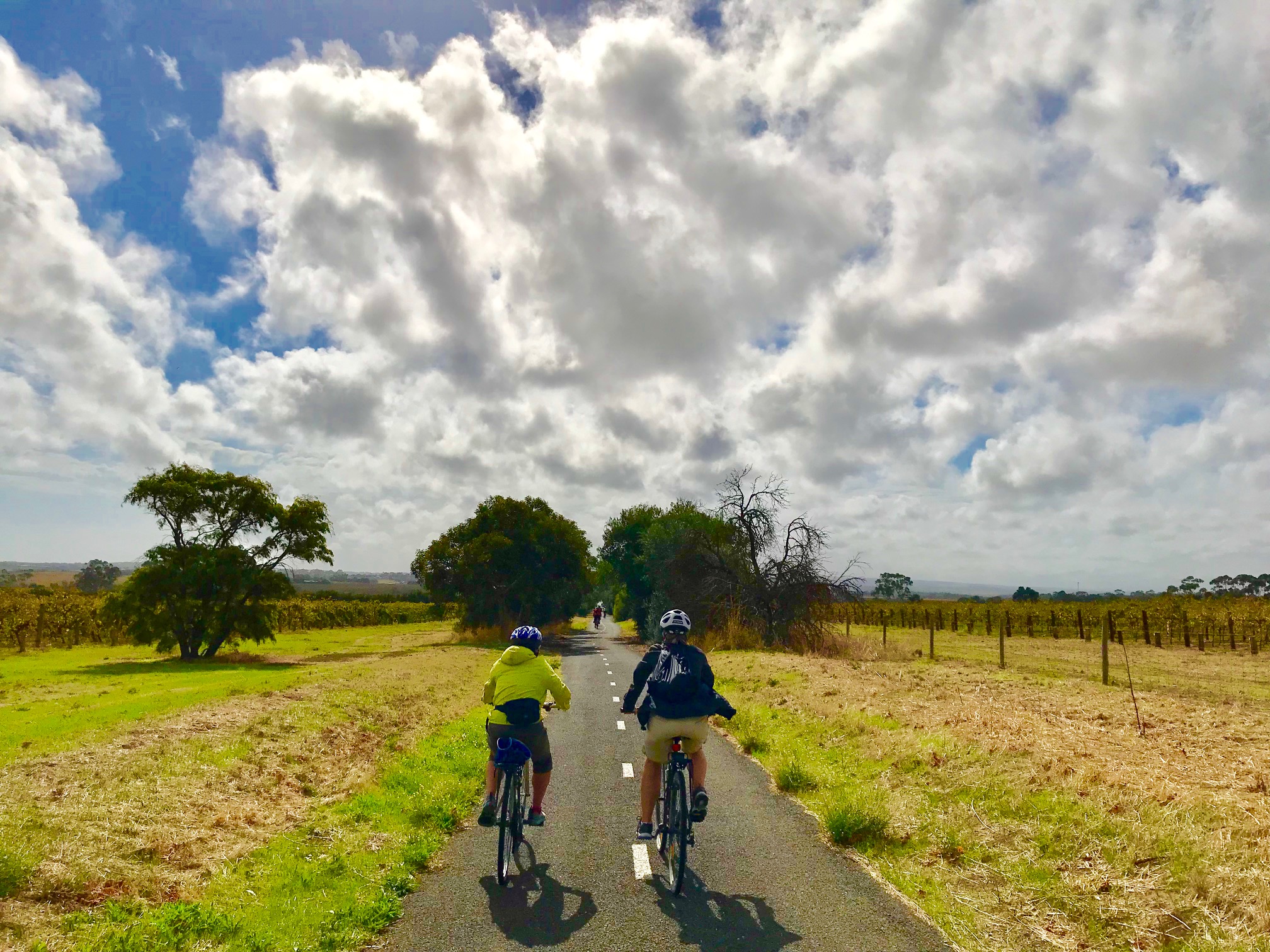 Tour de McLaren Vale - Guided Day Tour from Adelaide