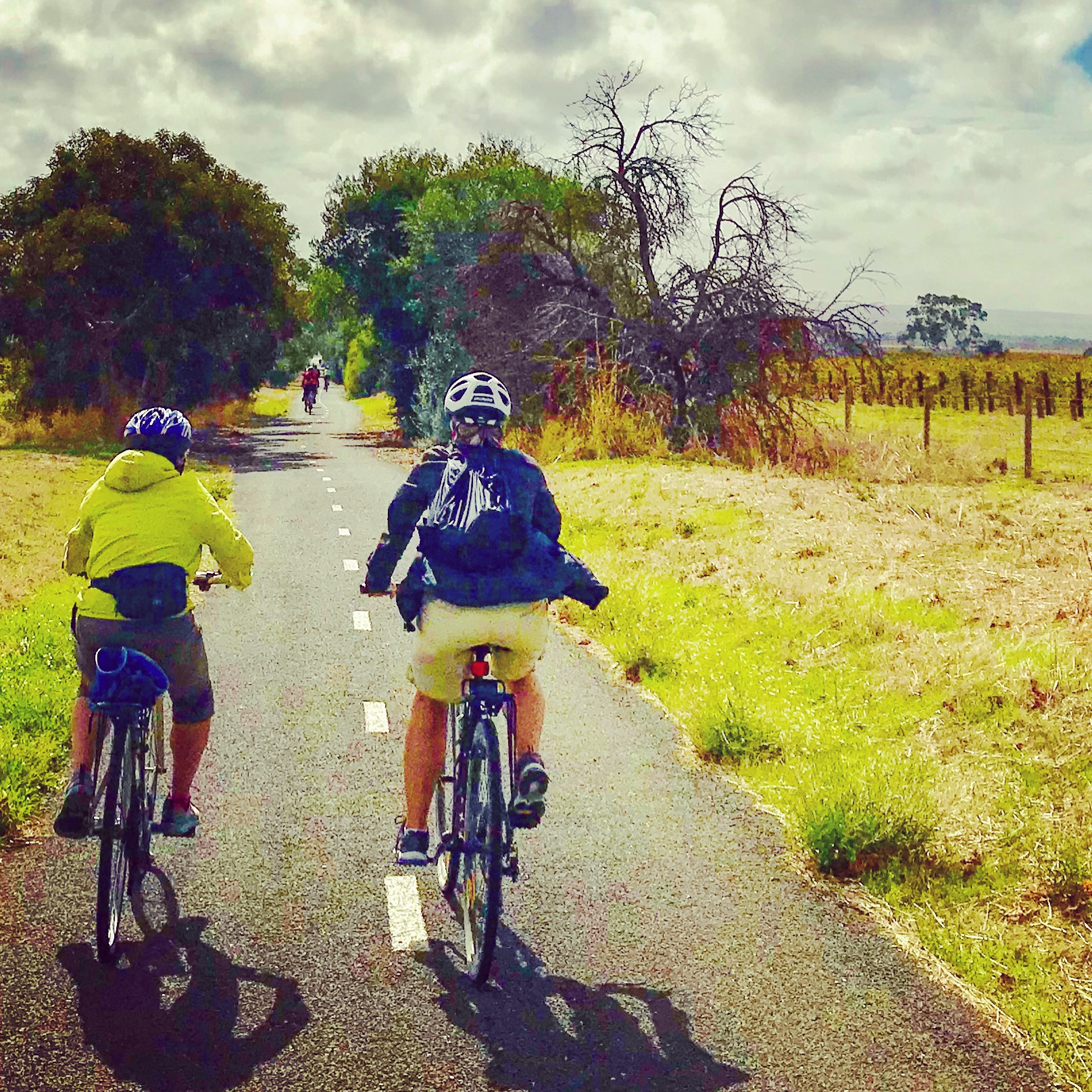 Tour de McLaren Vale - Private