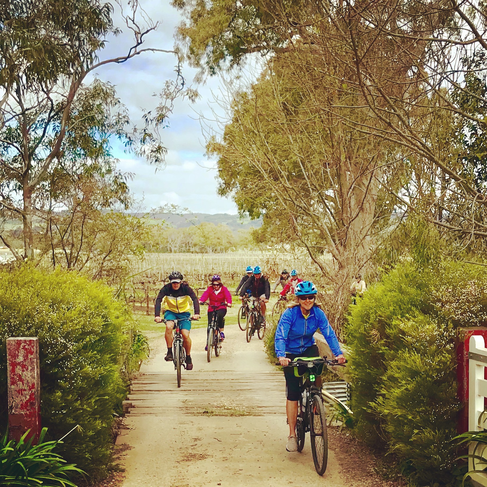 Tour de McLaren Vale - Guided Day Tour from Adelaide