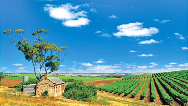 Tour de McLaren Vale - Guided Day Tour from Adelaide