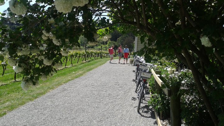 Tour de Great Taste Trail NZ - Private — Nelson - Photo 4