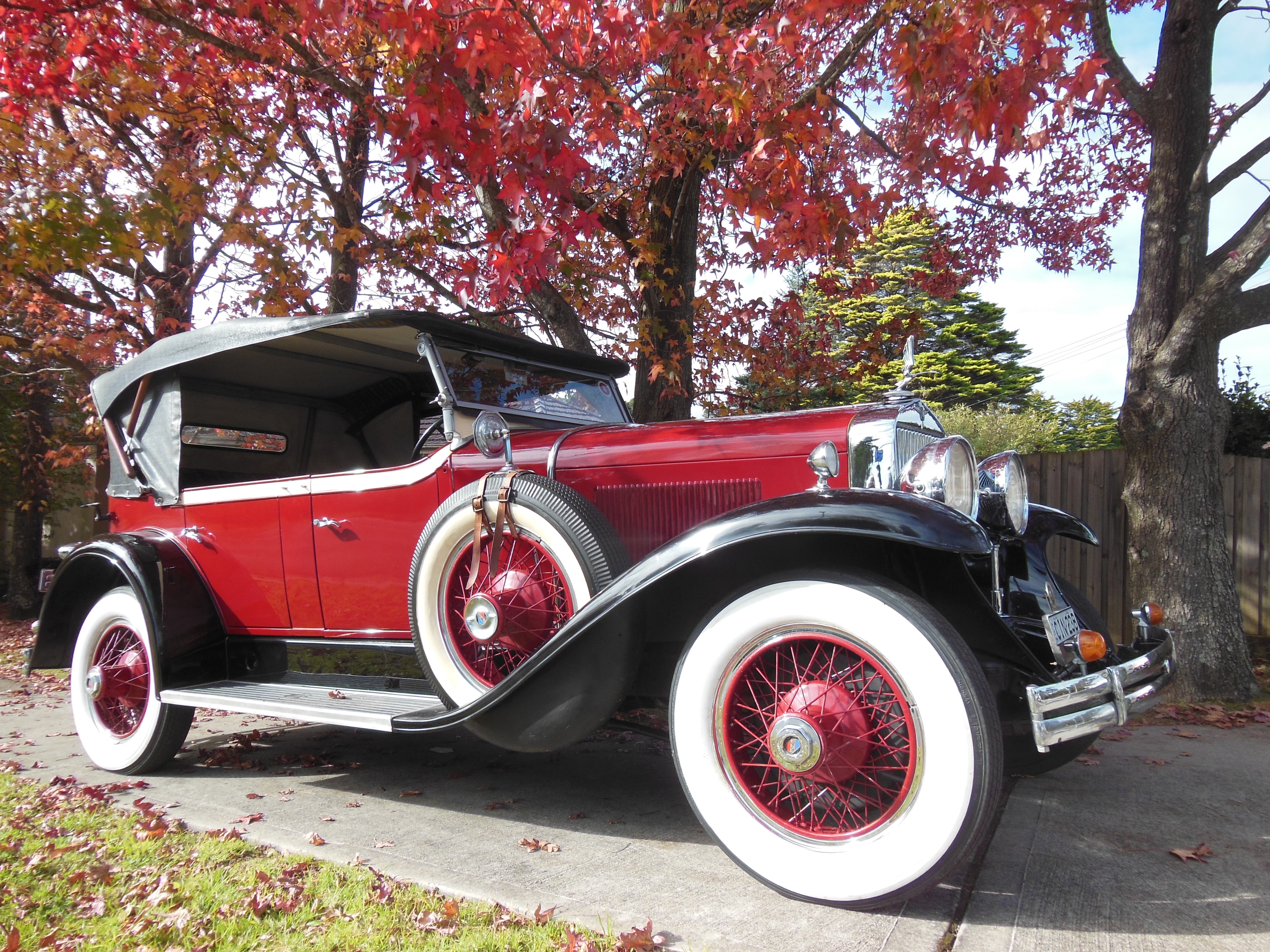 Two hour Blue Mountains Tour in a Luxury Vintage 1929 Cadillac LaSalle, the Limousine of 1920's Feel Like the Great Gatsby !