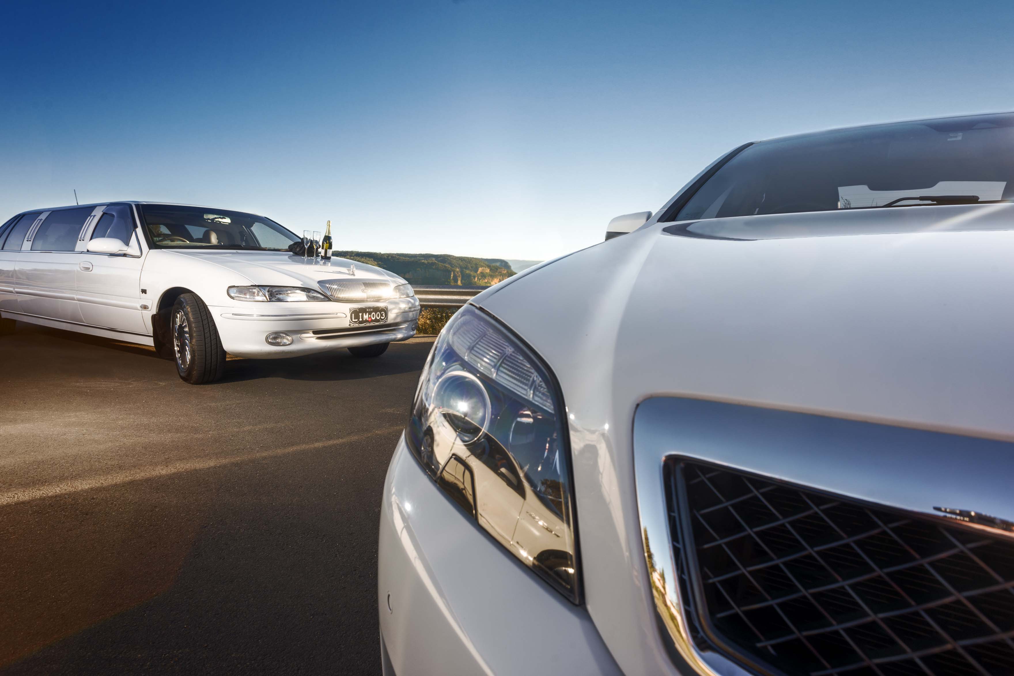 Blue Mountains to  Sydney City  / Airport / Cruise Terminal Transfer with Chauffeur & Meet and Greet Standard Limousine 4 pax