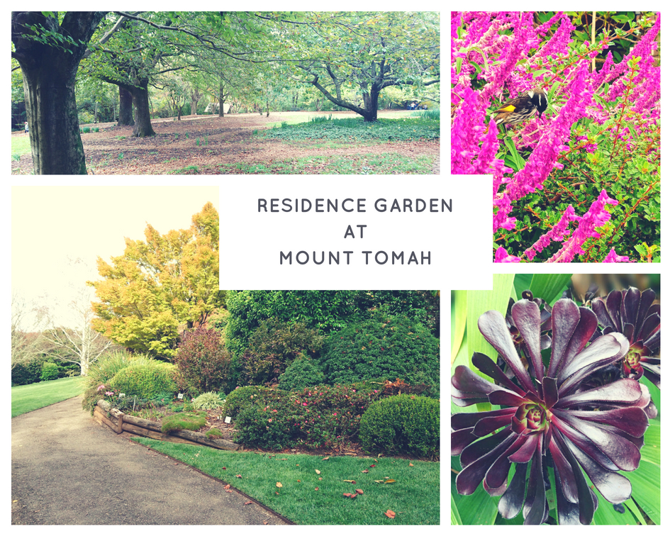 Spectacular Cool-Climate Blue Mountains Botanic Gardens 3 hour Caprice Limousine with Chauffeur 