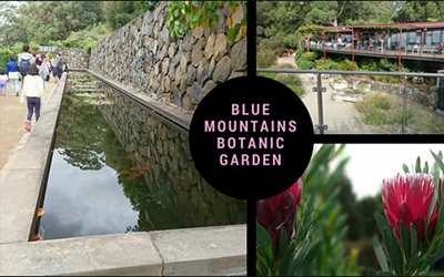 Spectacular Cool-Climate Blue Mountains Botanic Gardens 3 hour Caprice Limousine with Chauffeur