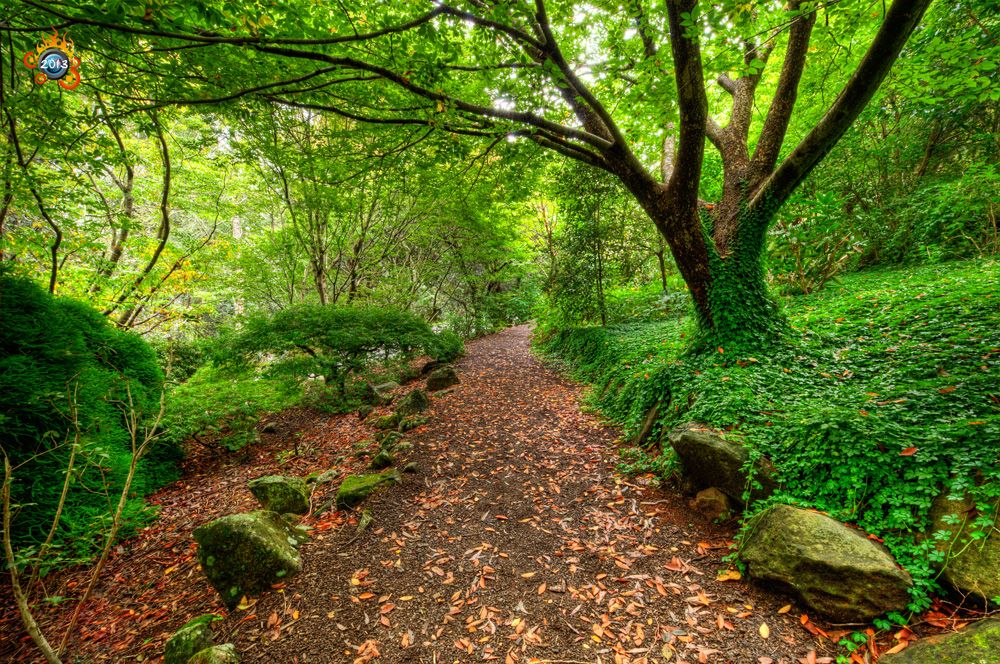 Spectacular Cool-Climate Blue Mountains Botanic Gardens 3 hour Caprice Limousine with Chauffeur