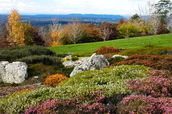 Spectacular Cool-Climate Blue Mountains Botanic Gardens 3 hour Caprice Limousine with Chauffeur