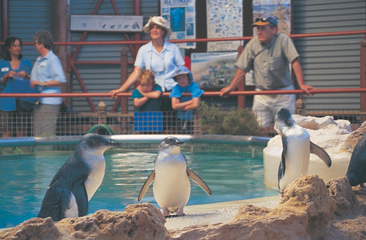 5 Days 4 Nights Amazing Perth Package
