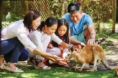 4 Days 3 Nights Amazing Perth Package