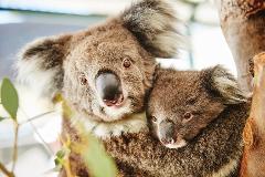 3 Days 2 Nights Beautiful Perth Package