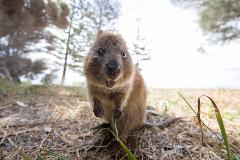 3 Days 2 Nights Fascinating Perth Package