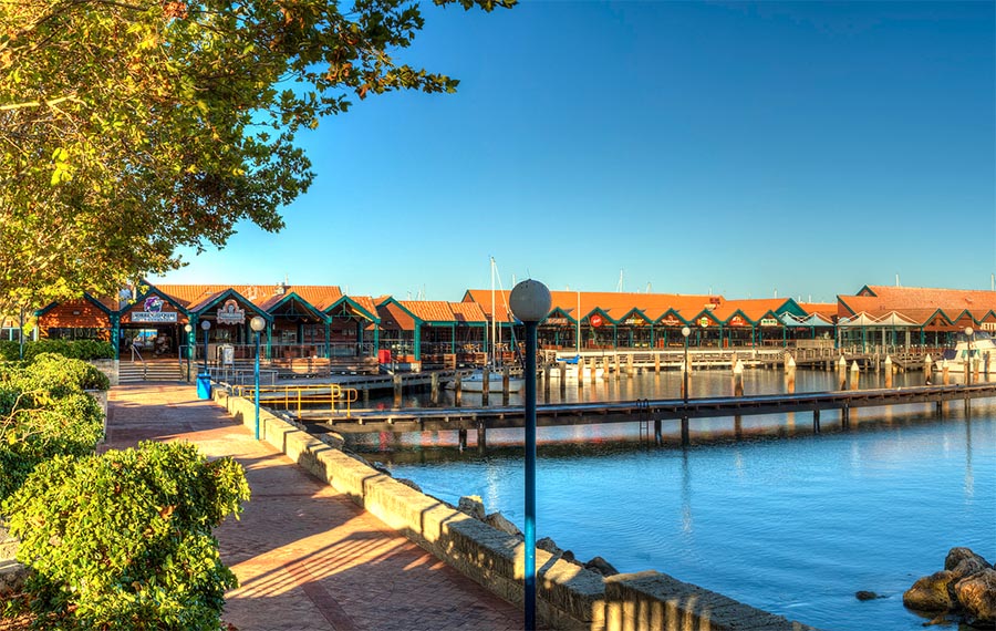 Half-Day Hillarys Marina