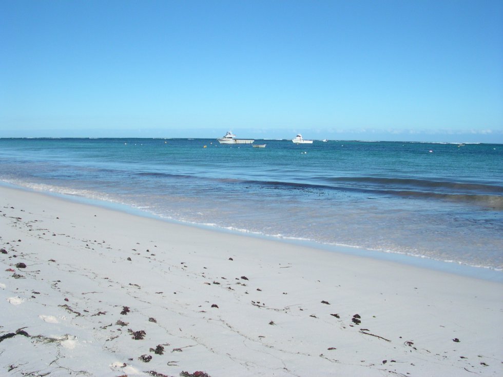 Pinnacles, Swan Valley Wildlife Park & Lancelin (Optional Sandboarding)