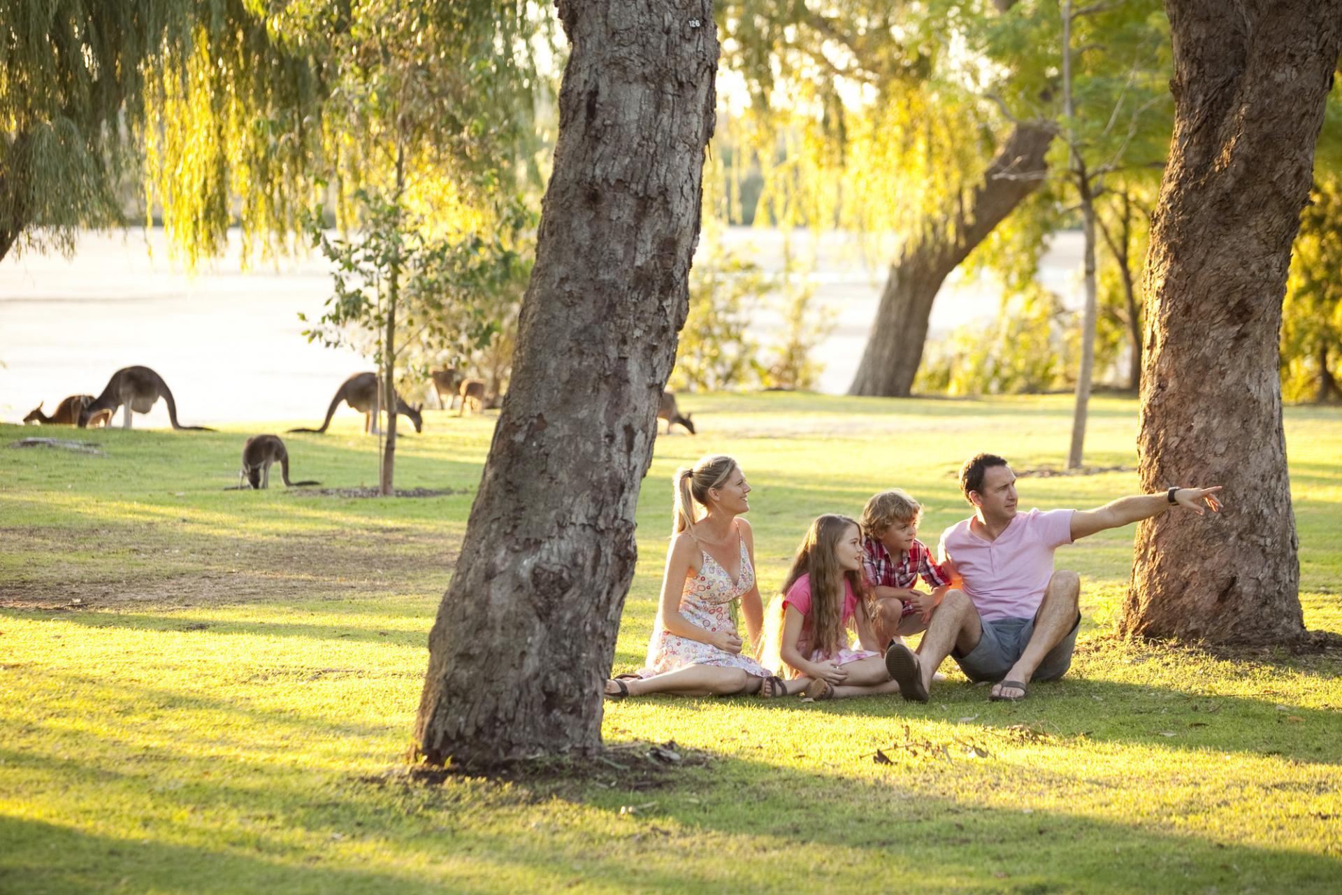 Pinnacles, Yanchep National Park & Lancelin (Optional Sandboarding & Lobster)