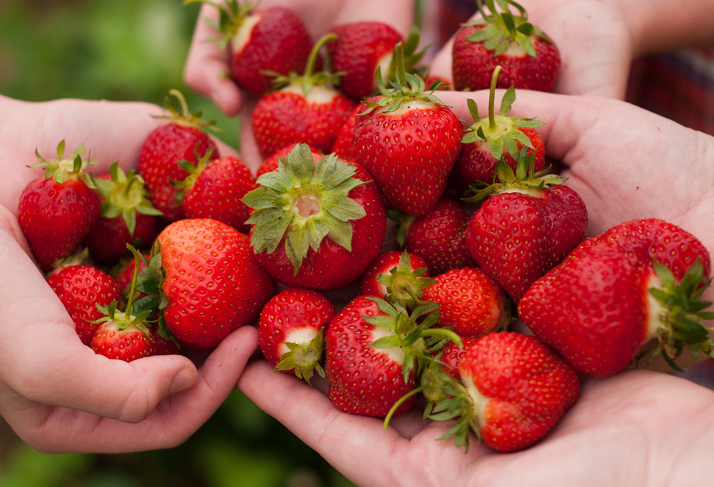 Swan Valley Fruit Orchard & Wildlife Park