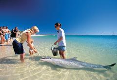 8 Days Discover North Package