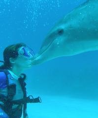Dolphin Swim Tour - A Lifetime Experience